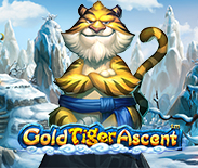 Gold Tiger Ascent